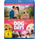 Dog Days - Herz, Hund, Happy End! (Blu-ray) (Verkauf)