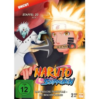Naruto Shippuden - Staffel 20.1: Episode 634-641 (2 DVDs)