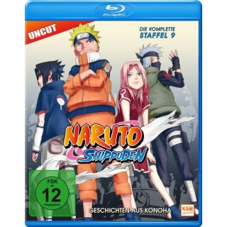 Naruto Shippuden - Staffel 9: Episode 396-416 (Blu-ray)