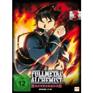 Fullmetal Alchemist: Brotherhood - Volume 3 - Folge 17-24 (2 DVDs)