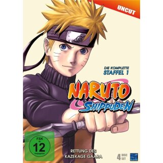 Naruto Shippuden - Rettung des Kazekage Gaara -Staffel 01: F.221- 252 (DVD)