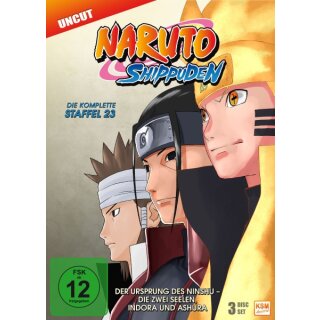 Naruto Shippuden - Staffel 23: Episode 679-689 (3 DVDs)