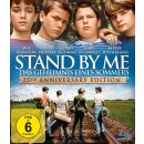 Stand by Me - Das Geheimnis eines Sommers (Blu-ray)