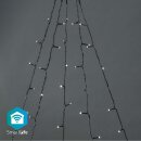 SmartLife Dekorative LED | Baum | Wi-Fi | Warmweiss | 200...