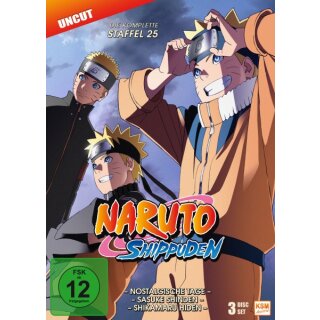 Naruto Shippuden - Staffel 25: Episode 700-713 (3 DVDs)